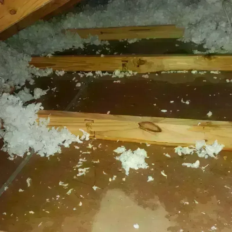 Attic Water Damage in Three Oaks, MI