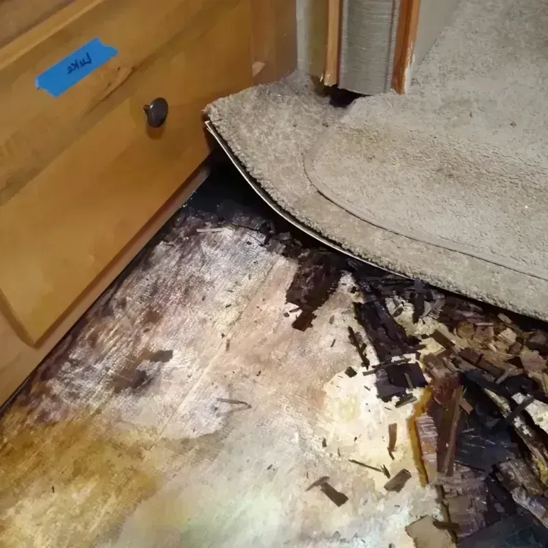 Wood Floor Water Damage in Three Oaks, MI